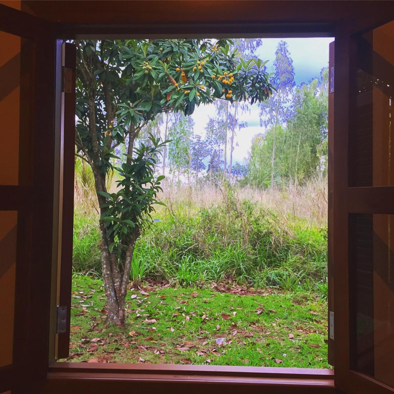 Nature Hostel Foz do Iguacu